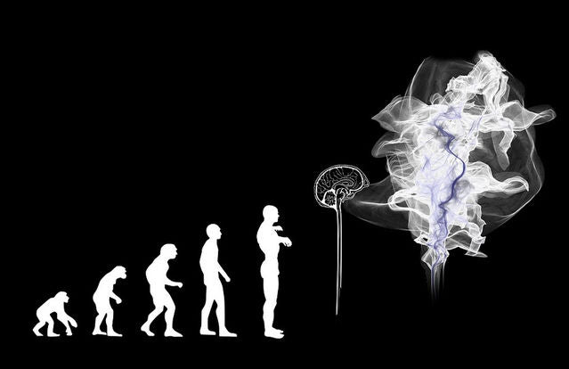 How AI and Quantum Computing May Alter Humanity’s Future